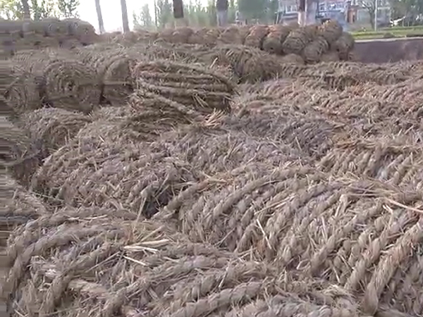 風沙專用草制品