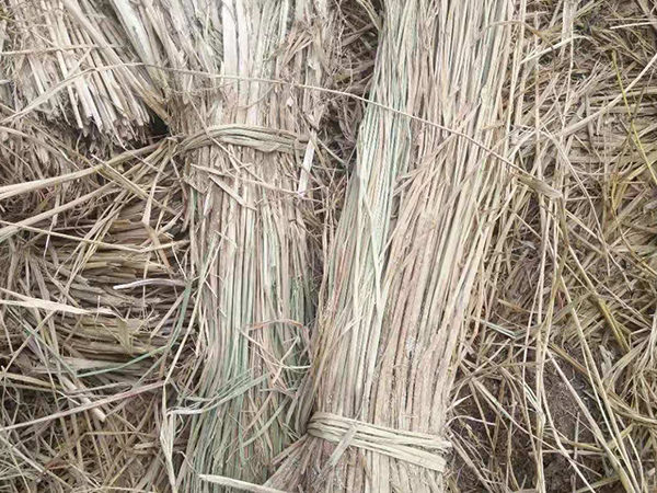 風(fēng)沙專用草制品