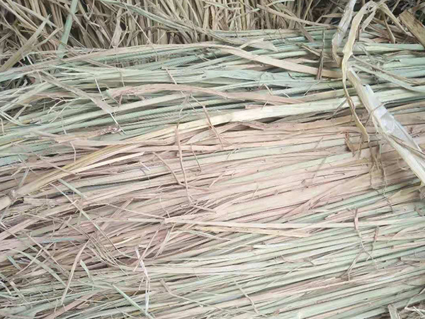 風(fēng)沙專用草制品